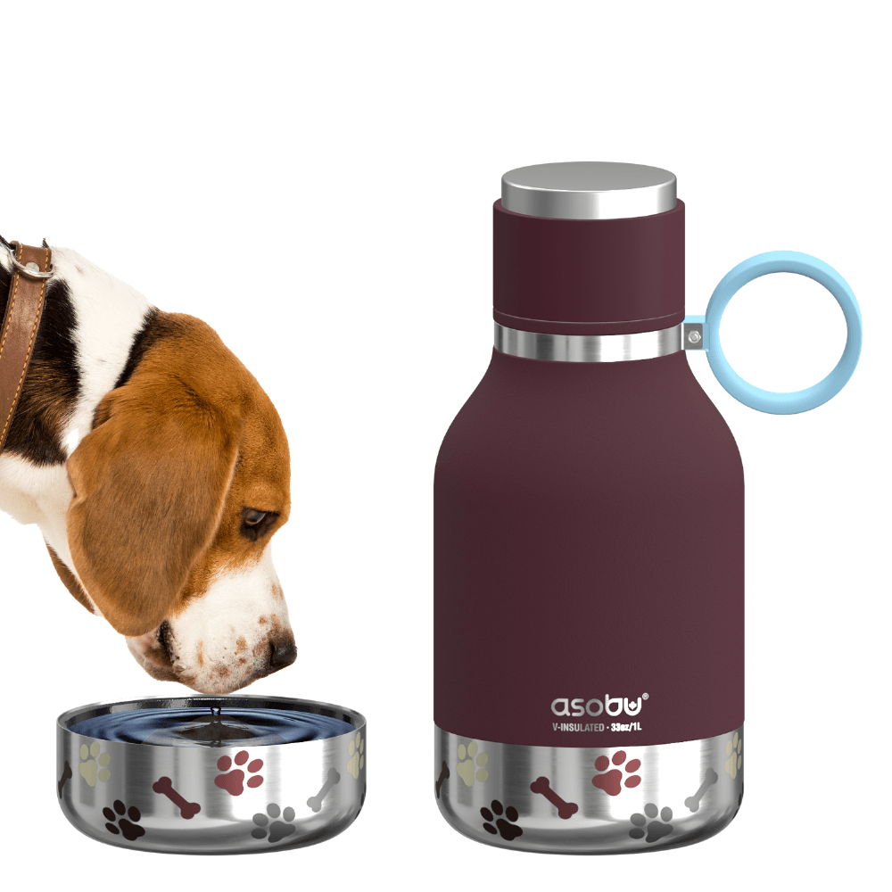 Burgundy Dog Bowl Bottle