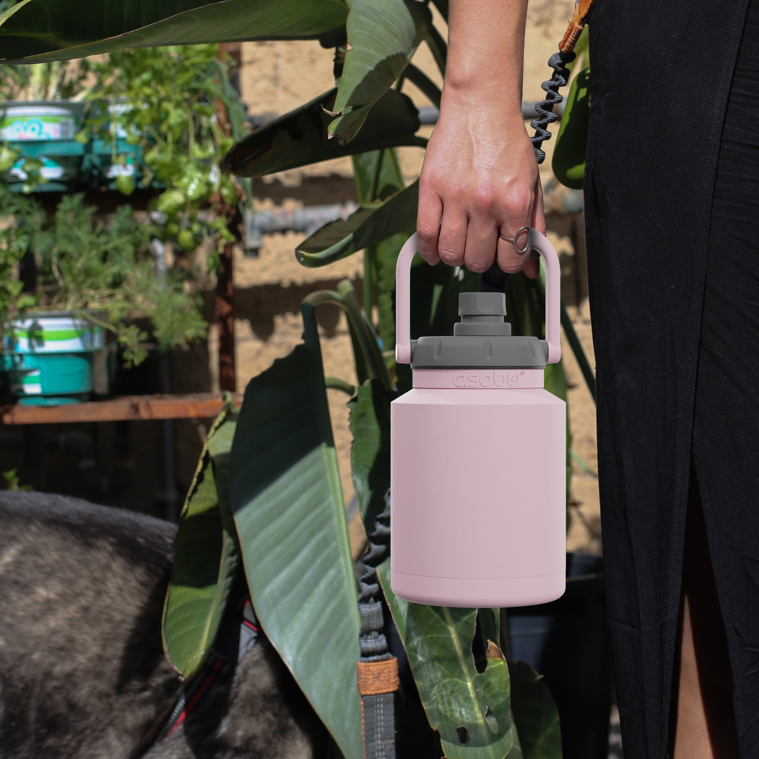 Pink Mini Jug