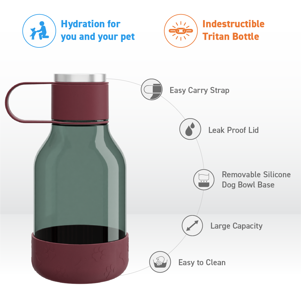 Burgundy Dog Bowl Bottle Lite