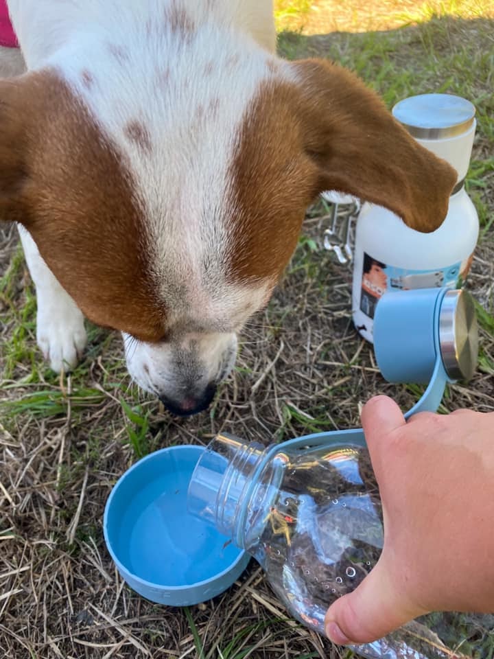 #saveadogwithasobu