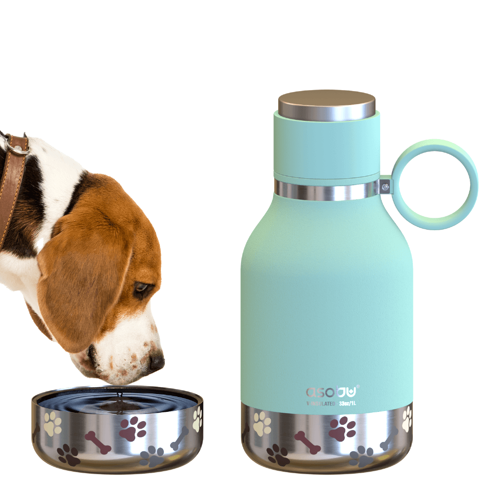 Teal Dog Bowl Bottle