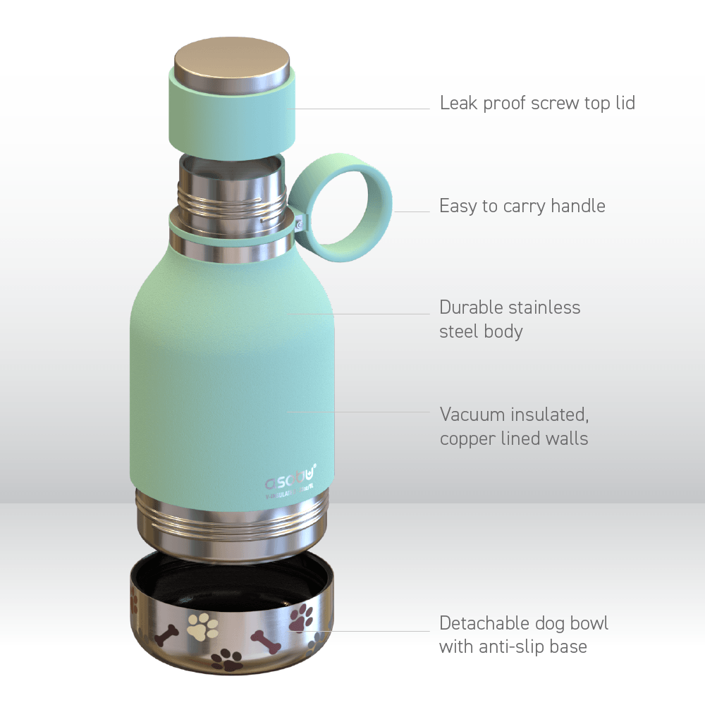 Teal Dog Bowl Bottle