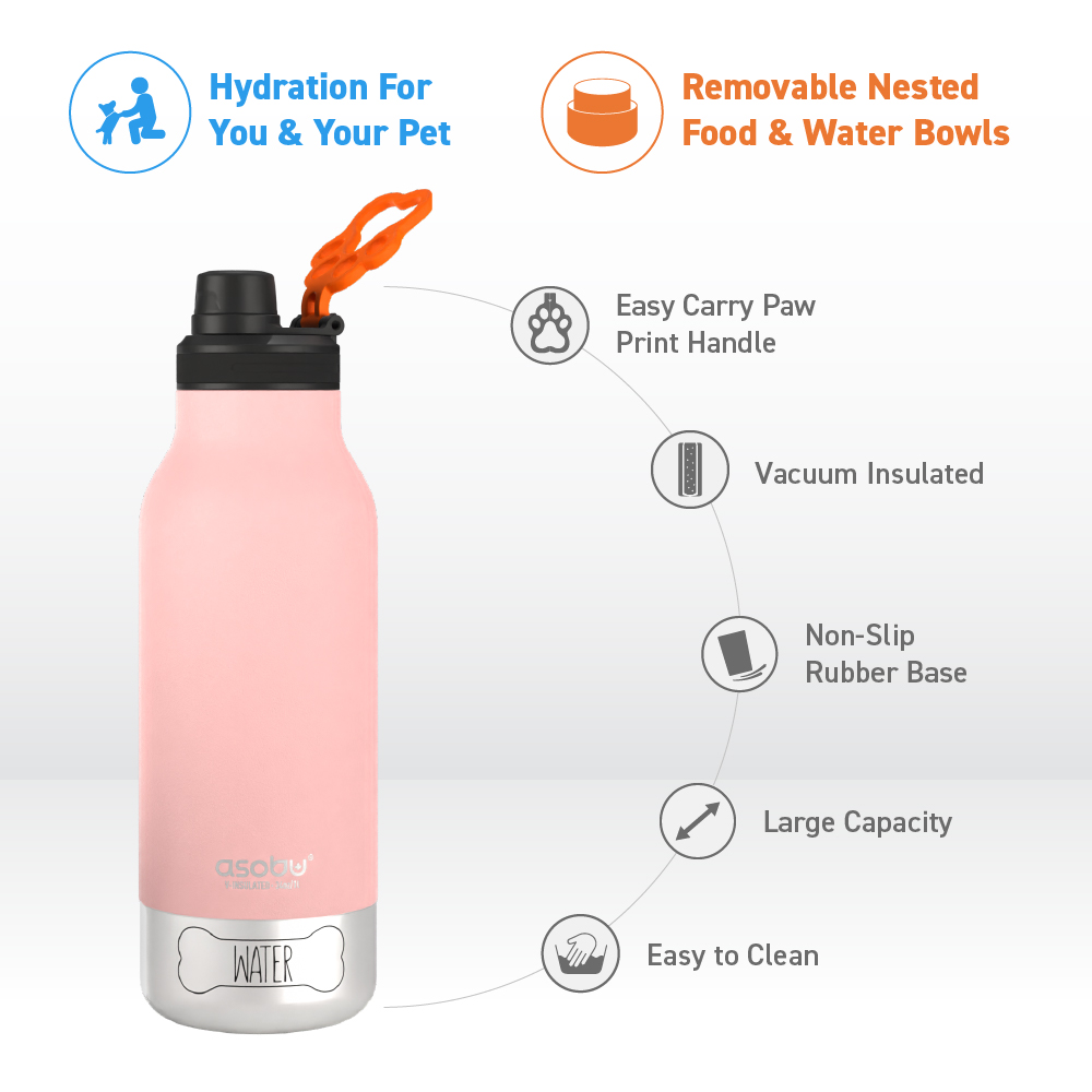 Pink Buddy Bottle – ASOBU®