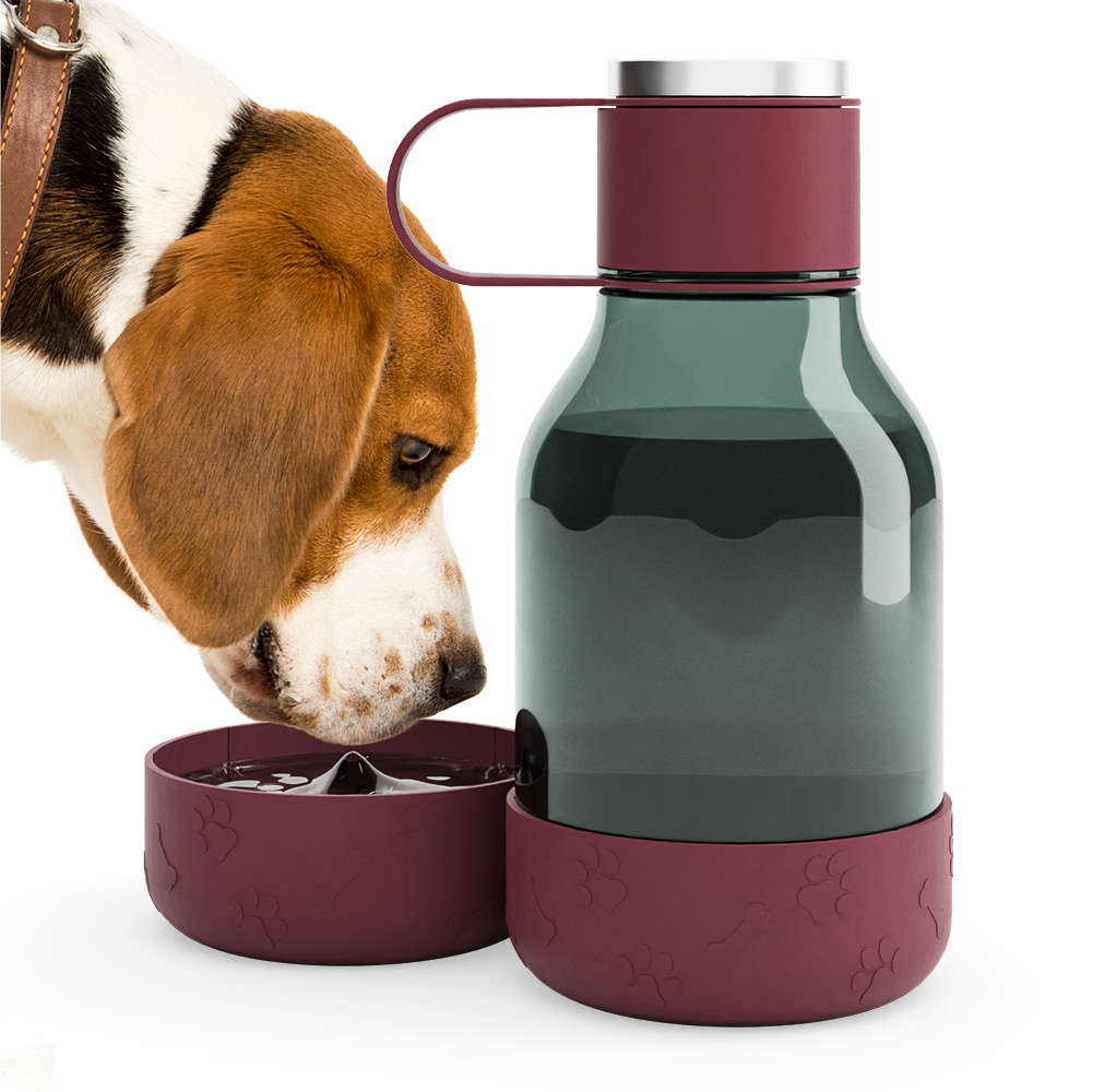 Burgundy Dog Bowl Bottle Lite