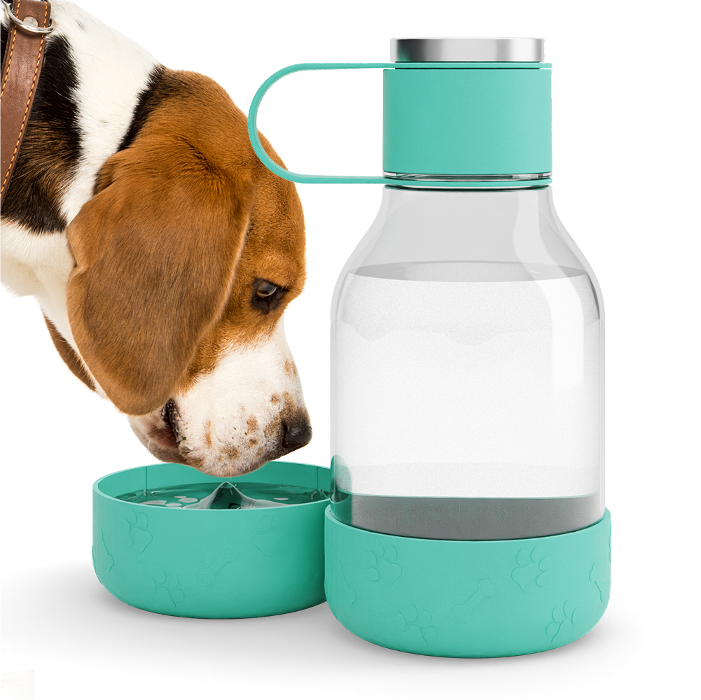 Teal Dog Bowl Bottle Lite