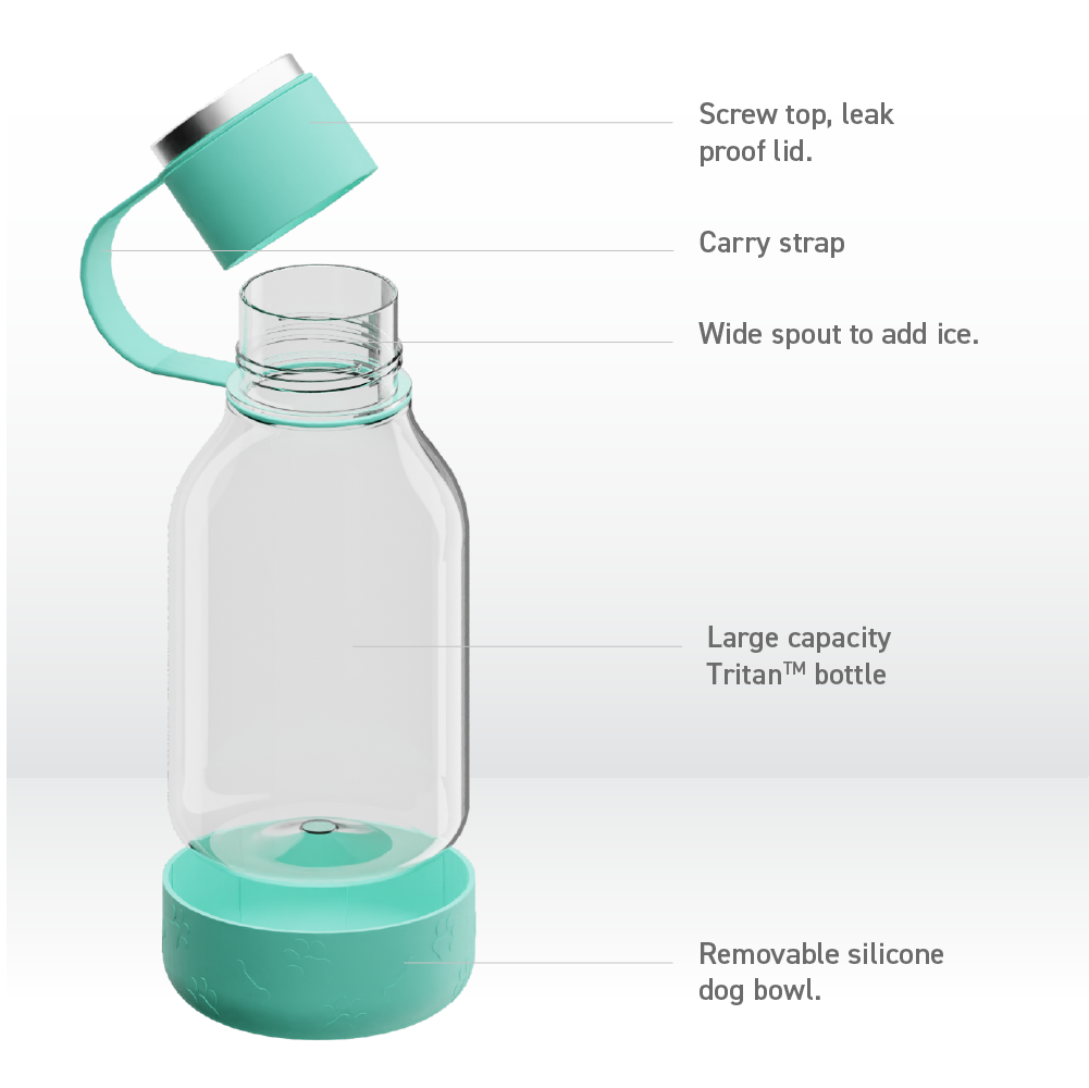 Teal Dog Bowl Bottle Lite