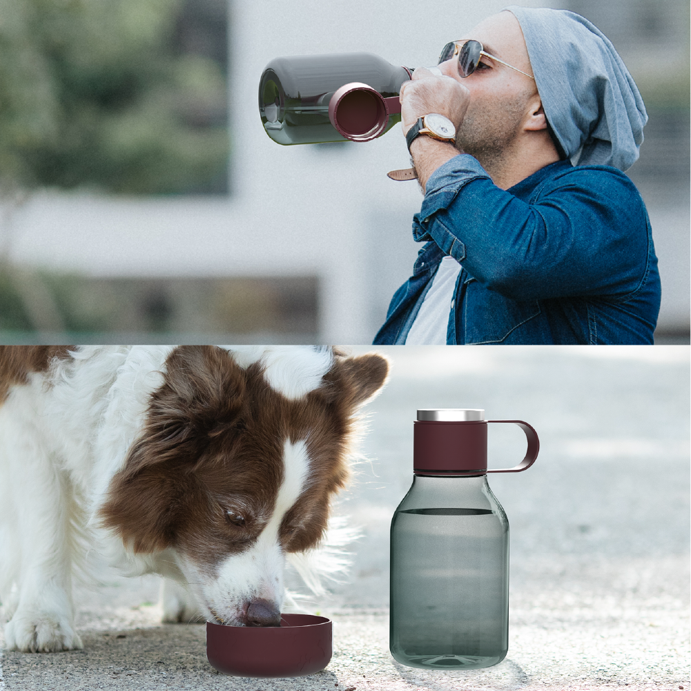 Burgundy Dog Bowl Bottle Lite