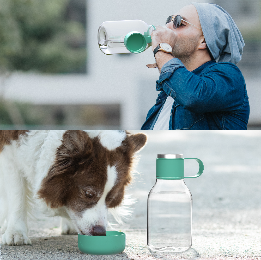 Teal Dog Bowl Bottle Lite